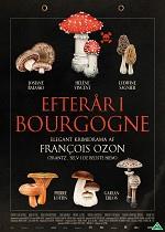 Efterår i Bourgogne